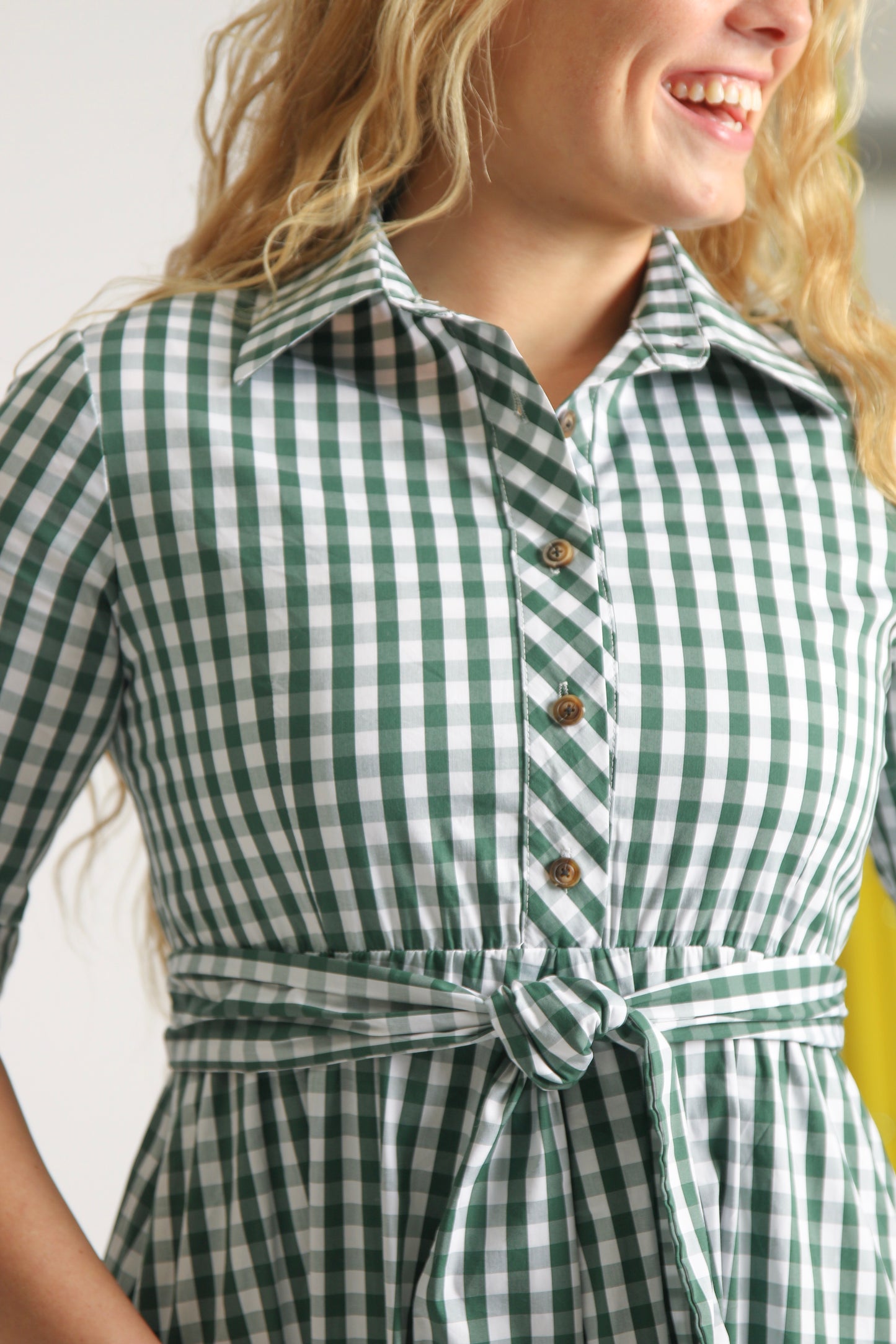 Kate Green Gingham Dress